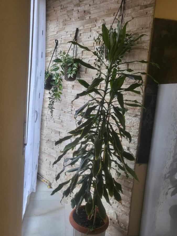 Casa Hanna2 Intra Eksteriør bilde